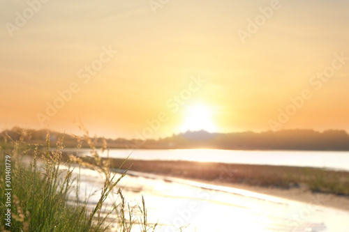 Picturesque landscape with beautiful sunlit lake  focus on grass