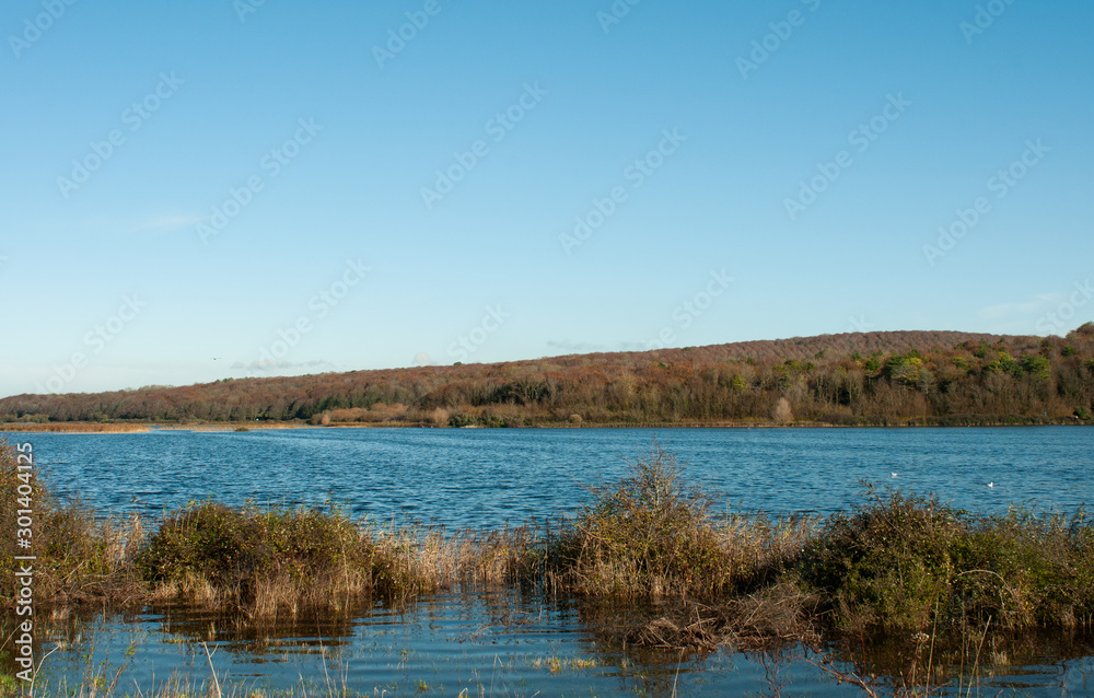 landscape with flooded field and blue sky