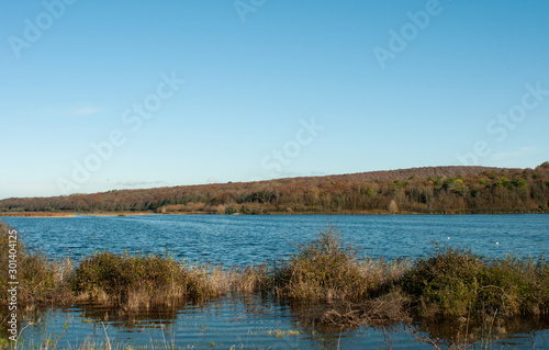 landscape with flooded field and blue sky