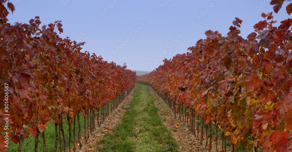 Naklejka premium Obersdorf - Austria