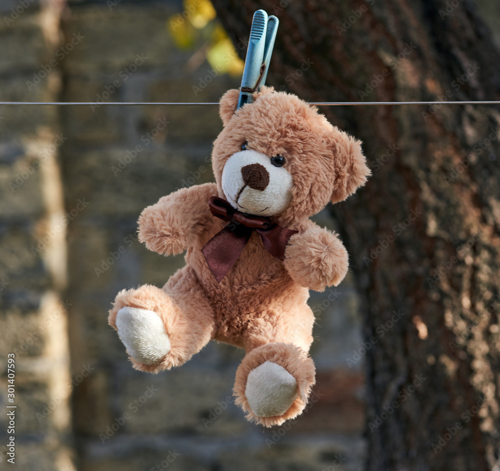 Hanging teddy best sale bear