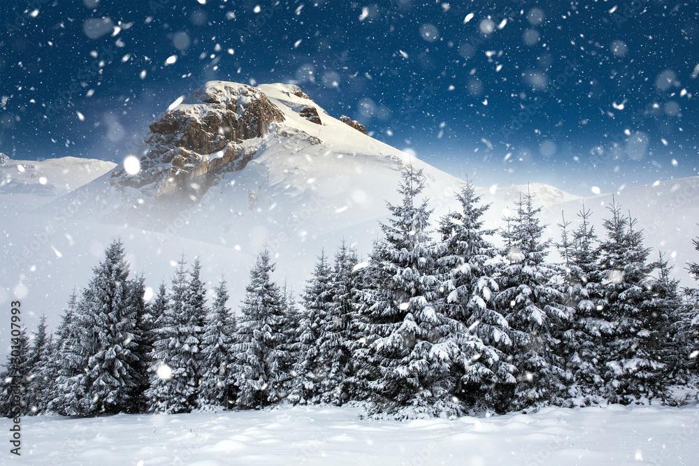 Obraz premium Christmas background with snowy fir trees and mountains in heavy blizzard.