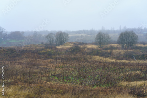 Photography of Russian country side in rain. Autumn landscape in Tver region. Concepts of travel and touristic mood and beauty of nature in bad wet weather. Suitable for greeting cards, posters 