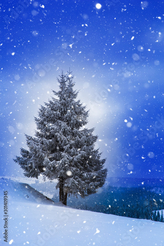 Christmas background with snowy fir trees and mountains in heavy blizzard. © belyaaa