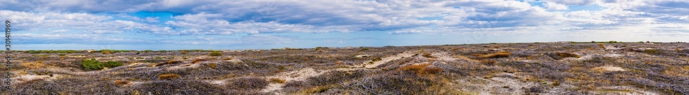The consequences of a fire in the tundra. Panorama. The consequences of a fire in the tundra. Panorama.