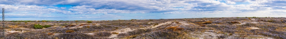 The consequences of a fire in the tundra. Panorama.