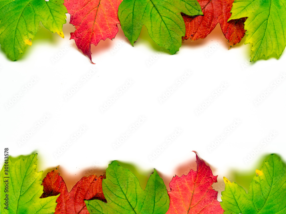 Banner Herbst Bunte Blätter isoliert