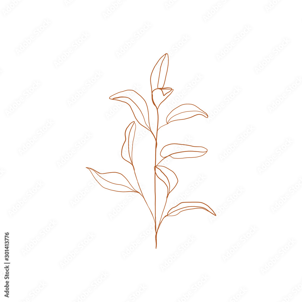 Naklejka premium Branch of tea plant vector illustration. Scratch board style imitation. Hand drawn image. vector silhouette of the plant of the cowberry on white background