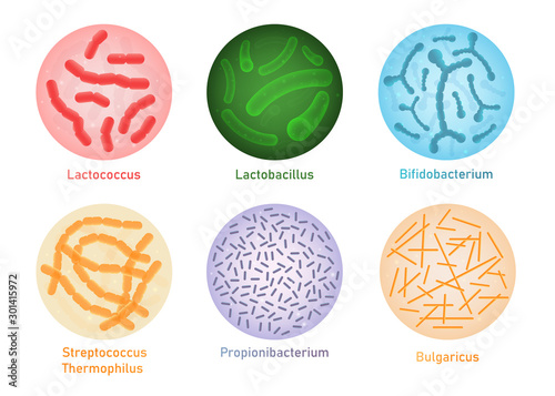 Probiotic bacteria set - microscope view of gut flora microorganisms