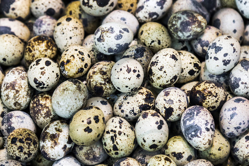 Textured background with small quail eggs Textured background with small quail eggs