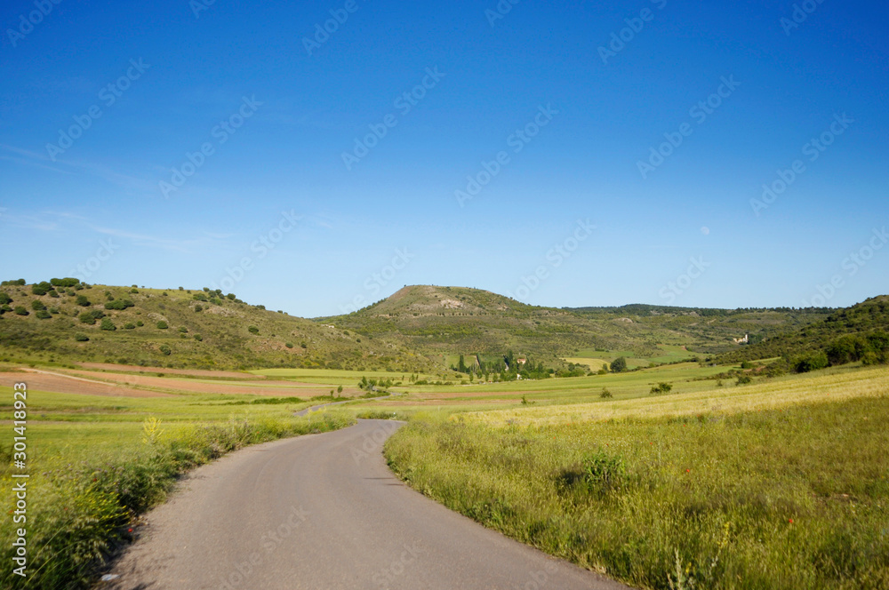 lonely road crossing a green field and flat cereal in spring with hills on the sides on a sunny day with clear blue sky