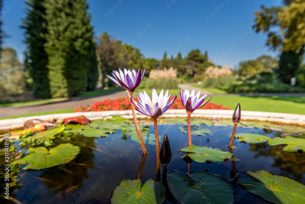 garden Sigurta' italy