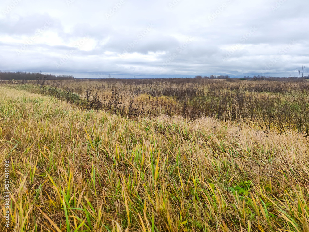 Autumn rain clouds over a field of old grass