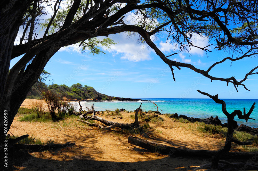A picture perfect day in paradise at Little Beach on the island of Maui, Hawaii. 