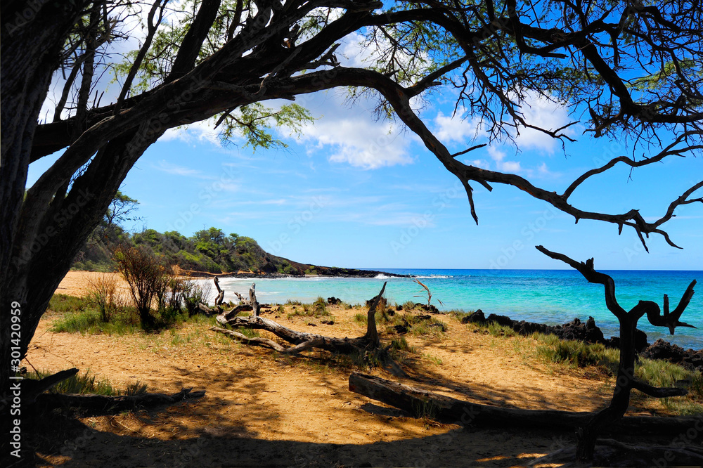 A picture perfect day in paradise at Little Beach on the island of Maui, Hawaii. A picture perfect day in paradise at Little Beach on the island of Maui, Hawaii.
