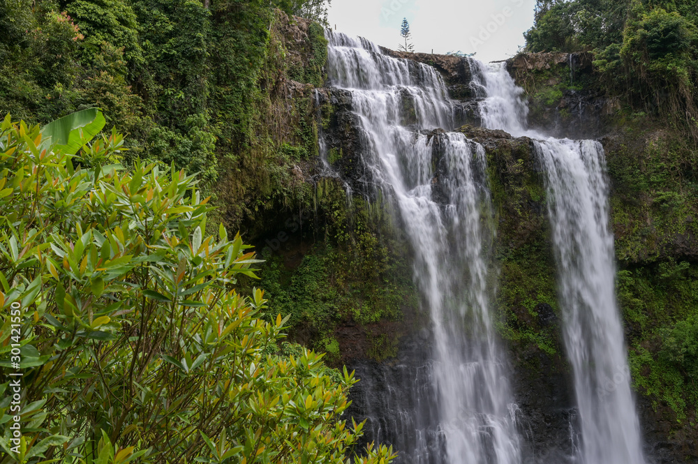 Tad yuang fall , A big waterfall in Jam Pha Sak,Bolaven, Laos. Tad yuang fall , A big waterfall in Jam Pha Sak,Bolaven, Laos.