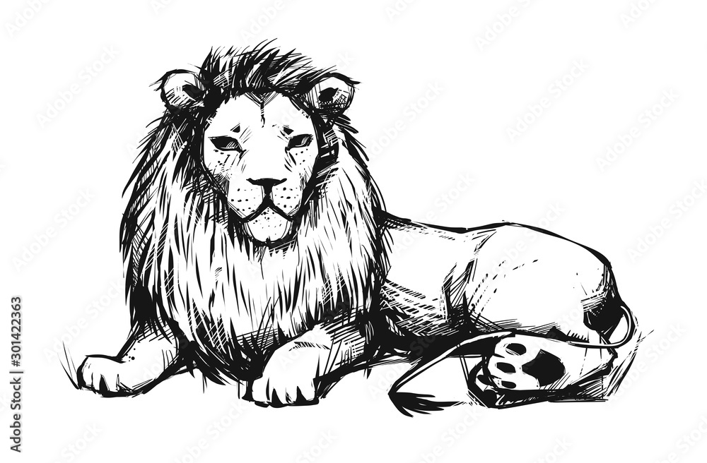 Obraz premium Beautiful Lion laying on a ground. Illustration with animal.