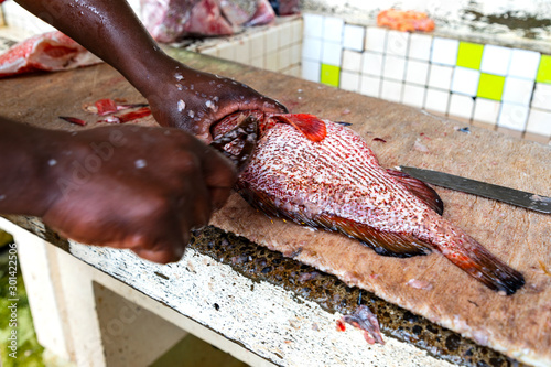 Grenada, der Fischmarkt in der Hauptstadt St. George. photo