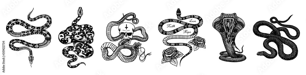 Vintage snake set. Skeleton royal python with skull and roses, milk ...