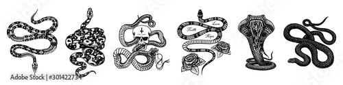 Vintage snake set. Skeleton royal python with skull and roses, milk reptile with sword, Venomous Cobra. Poisonous Viper for poster or tattoo. Engraved hand drawn old sketch for t-shirt or logo. 