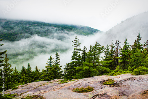 Fog rolling across hills in Acadia National Park, Maine