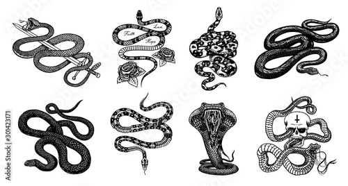 Milk snake with roses, skeleton royal python with skull, reptile with sword, Venomous Cobra. Poisonous Viper for poster or tattoo. Engraved hand drawn old Vintage sketch for t-shirt or logo. 
