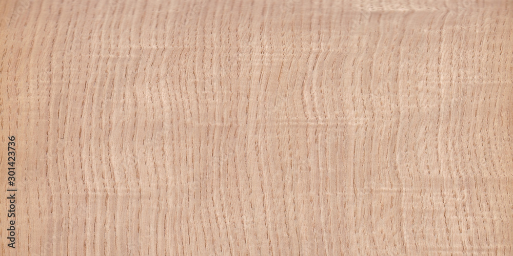  Fragment of an old tree with a knot ,invoice of wood. preparation for design,texture of a board,wood veneer