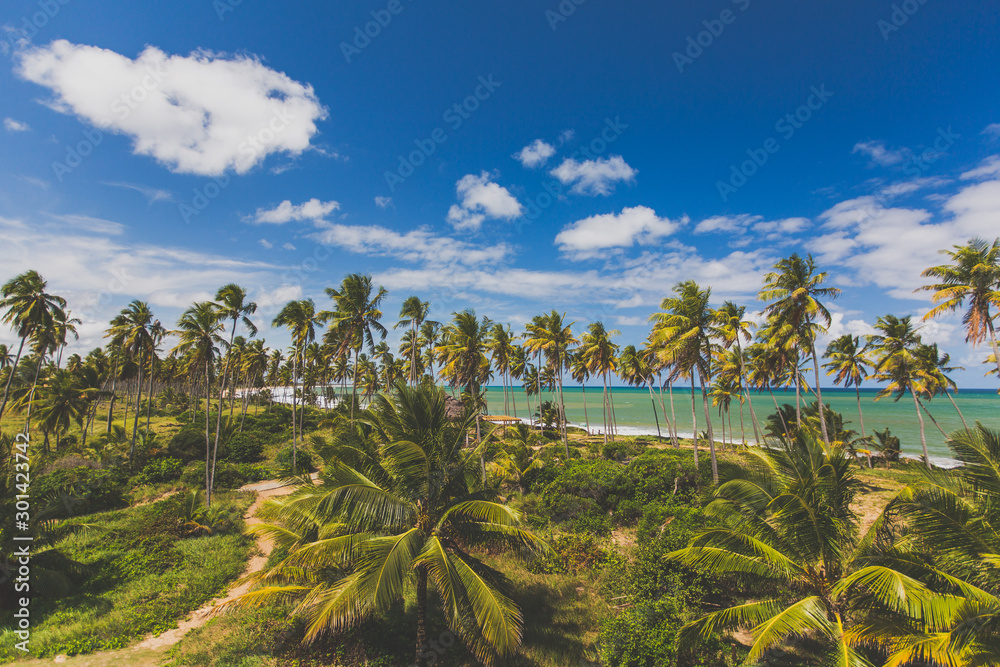 Fototapeta premium Palmenstrand