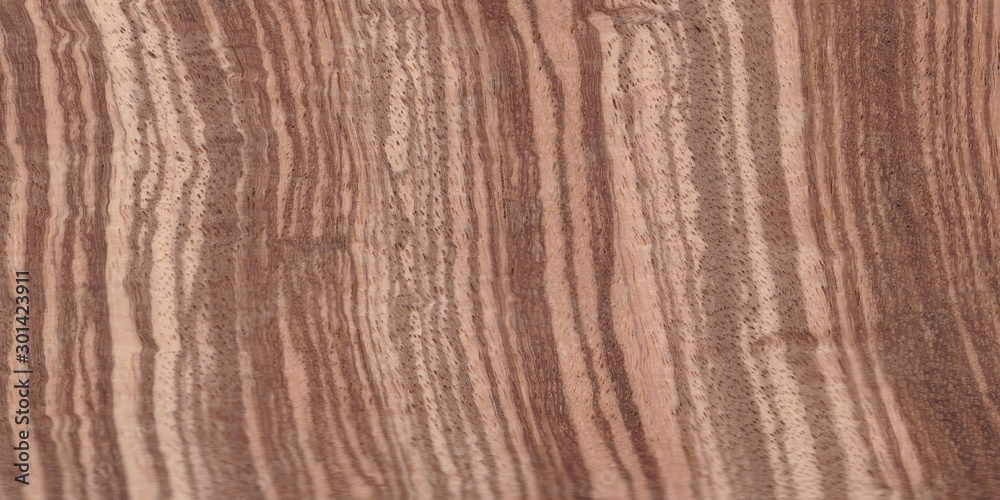 Fragment of an old tree with a knot ,invoice of wood. preparation for design,texture of a board,wood veneer Fragment of an old tree with a knot ,invoice of wood. preparation for design,texture of a board,wood veneer