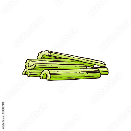 Celery cut row stalks - vegetarian food sketch vector illustration isolated.