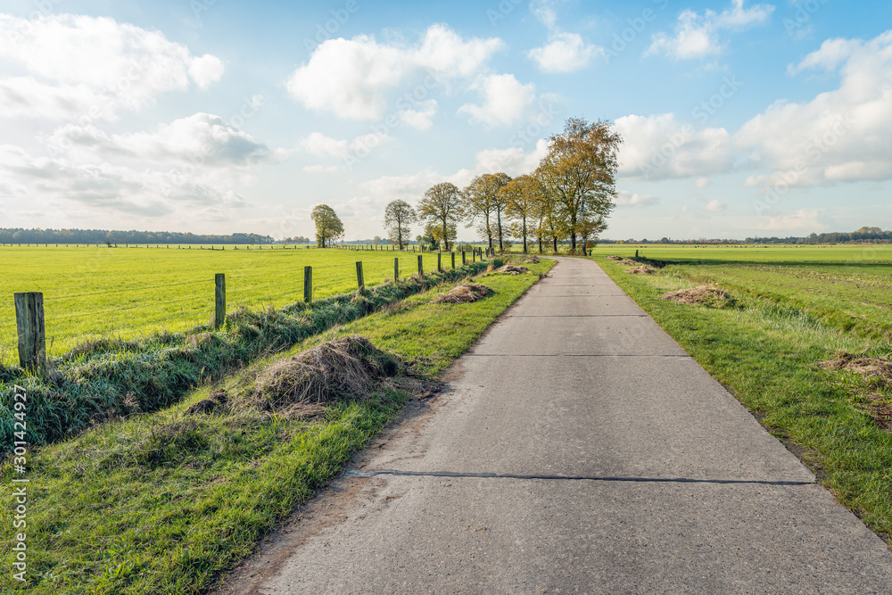 Rural landscape in Belgium