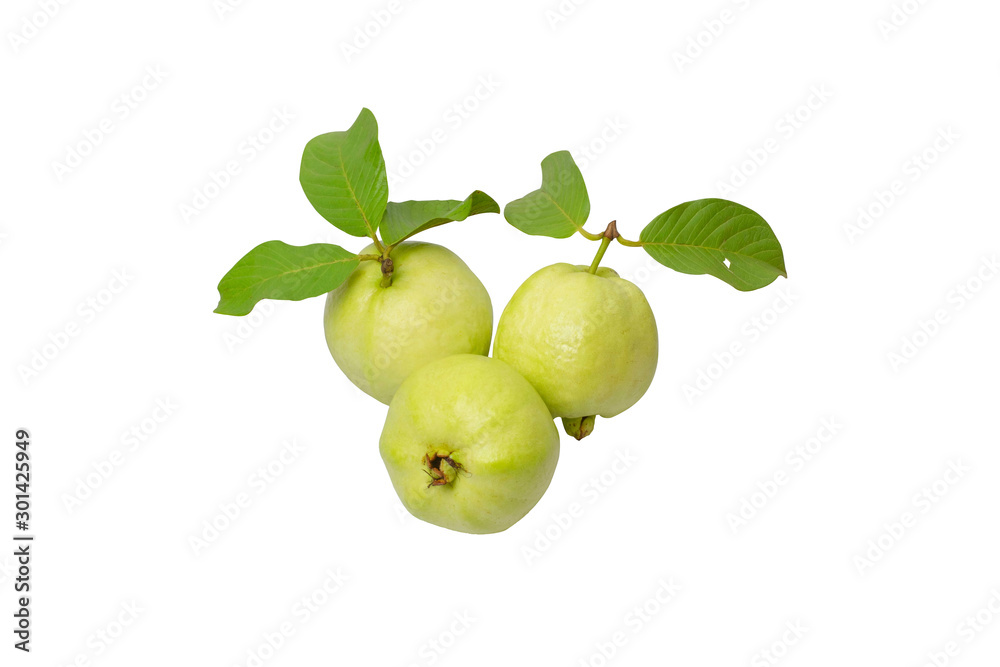 Guava on a white background ( clipping path)