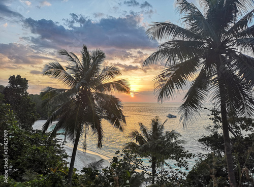 sunset on the sea with tropical palm trees
