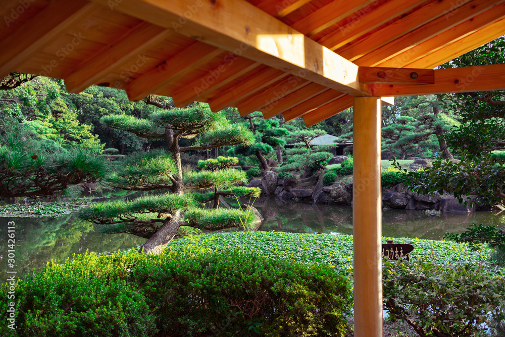 landscapes of japan, tourist places, garden, park, waterfall, girl landscapes of japan, tourist places, garden, park, waterfall, girl