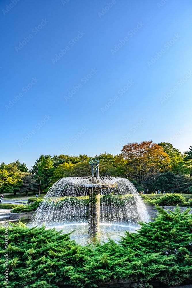 Fototapeta premium 昭和公園 噴水