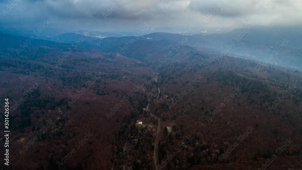 Aerial drone view of green mountain, pine forest, river and village. Carpathian, Ukraine. Aerial drone view of green mountain, pine forest, river and village. Carpathian, Ukraine.
