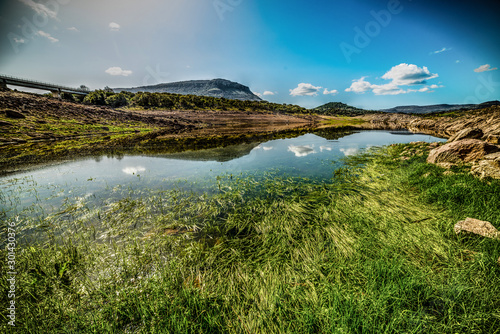 Green plants in Temo lake