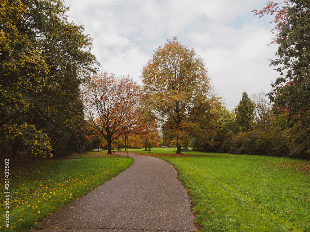 Grüttpark in Lörrach im Südwesten Baden-Württembergs. Naturlehrpfad und Landschaftspark im Grütt. Wegen für Spaziergänger und Fahrradfahrer zwischen Nadel- und Ahornholz