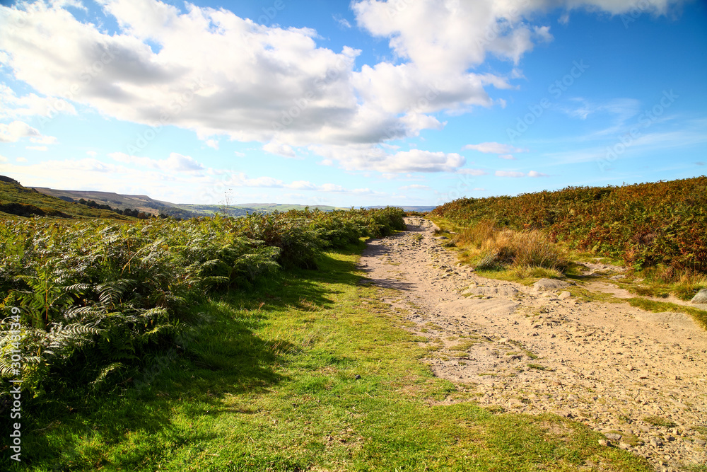 Path running along the top of ilkley moor