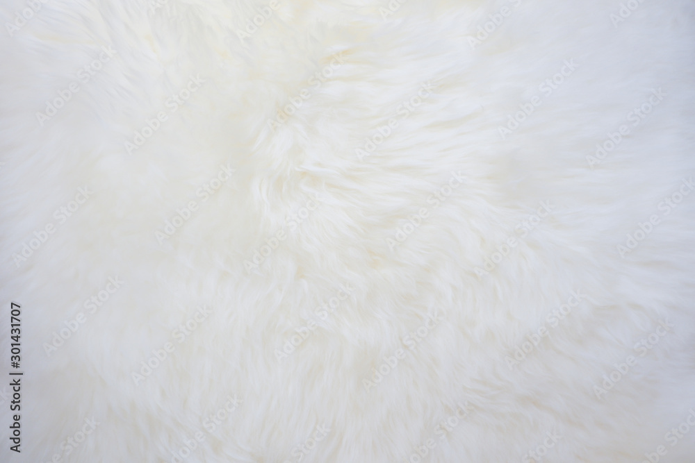 White fluffy fur texture for background White fluffy fur texture for background
