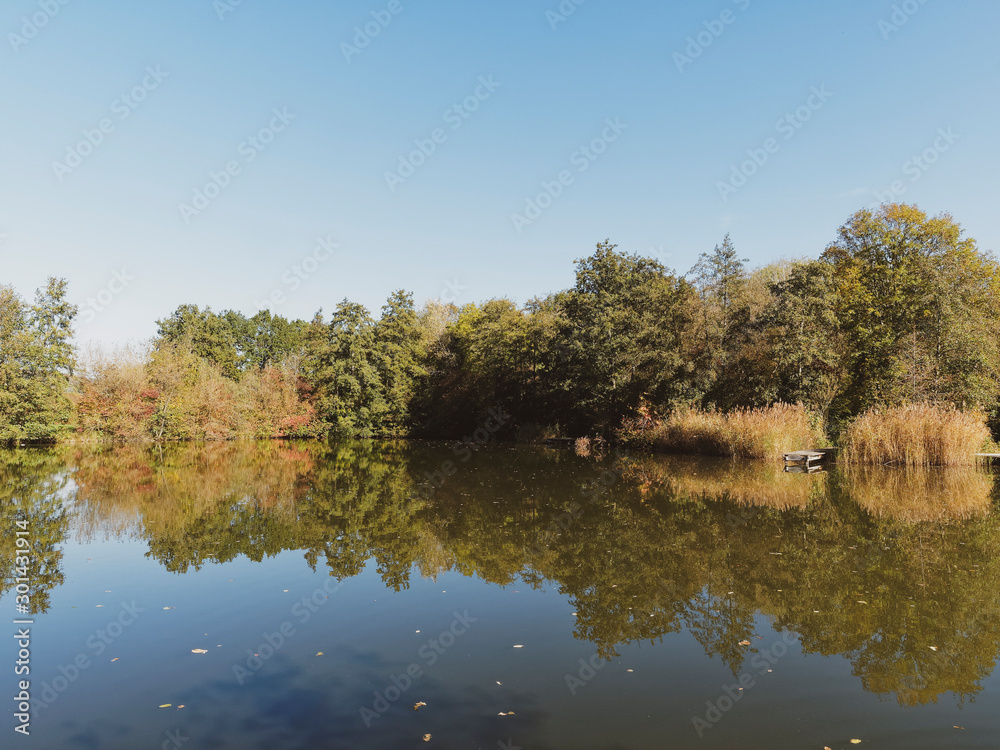 Fototapeta premium Grüttpark in Lörrach. Naturlehrpfad und Landschaftspark im Grütt mit kleinem See, Grüttsee, wald, wiesen und Rosengarten mit Herbstfarben