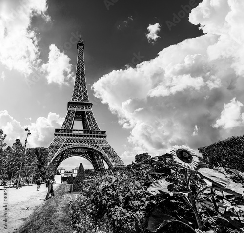 Fototapeta Naklejka Na Ścianę i Meble -  Tourists by world famous Eiffel tower in Paris in black and white