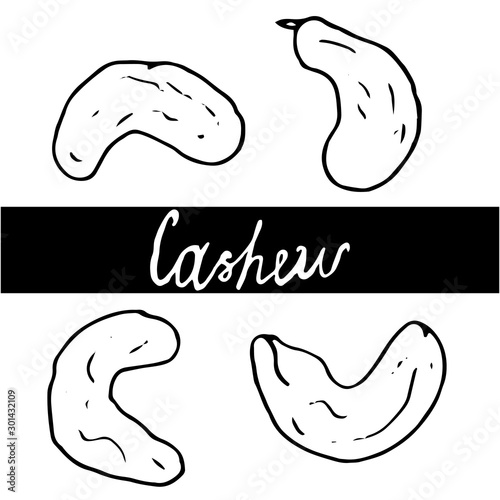 Set of hand drawn nuts. Black contour cashew on an isolated white background. Collection