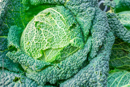 Fresh green savoy cabbages in a market.