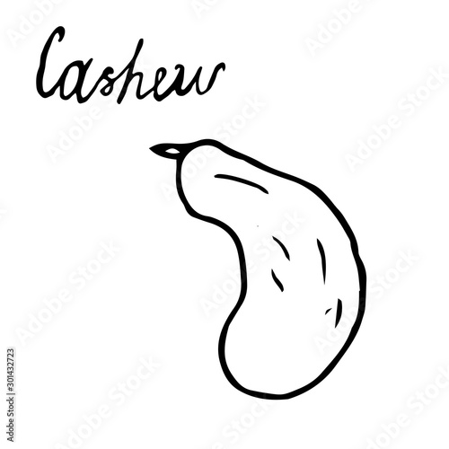 Hand painted nut on an isolated white background. Black contour cashews. Vector illustration.