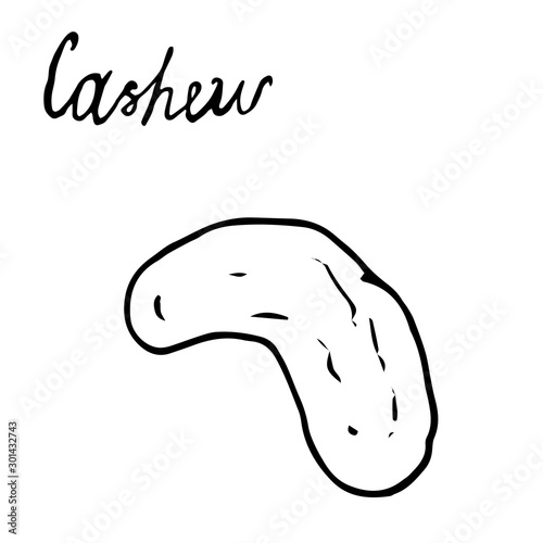 Hand painted nut on an isolated white background. Black contour cashews. Vector illustration.