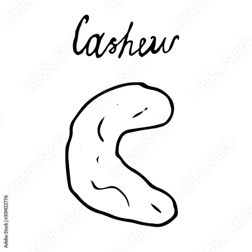 Hand painted nut on an isolated white background. Black contour cashews. Vector illustration.