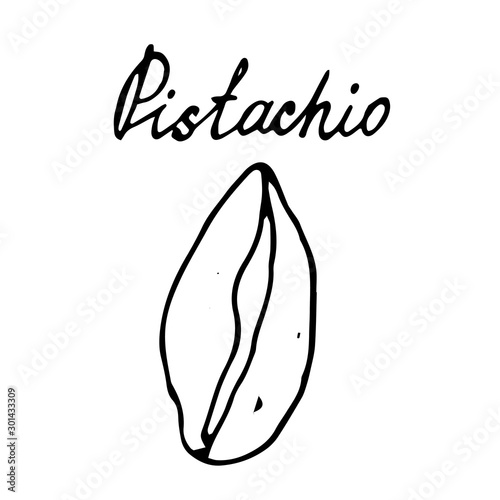 Hand painted nut on an isolated white background. Black outline pistachio. Vector illustration.