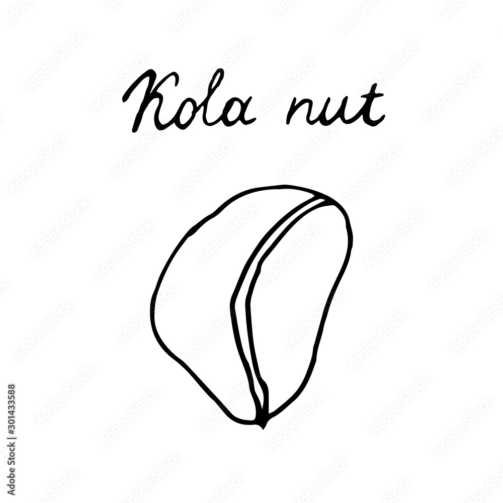 Hand painted nut on an isolated white background. Black contour stake nut. Vector illustration. Hand painted nut on an isolated white background. Black contour stake nut. Vector illustration.