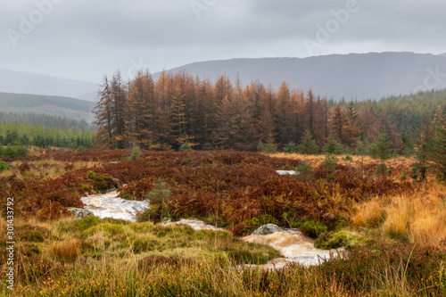 autumn landscape in the Wicklow  mountains